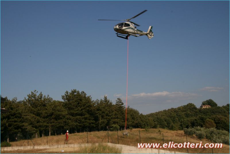 elifoto (154)